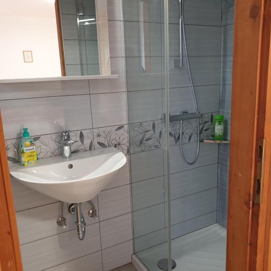 Apartmaji Pri Medvedu Studio Rudnica Бохинь Экстерьер фото