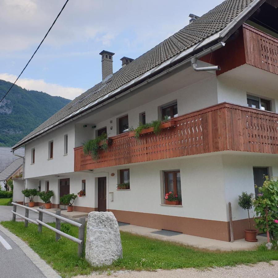 Apartmaji Pri Medvedu Studio Rudnica Бохинь Экстерьер фото